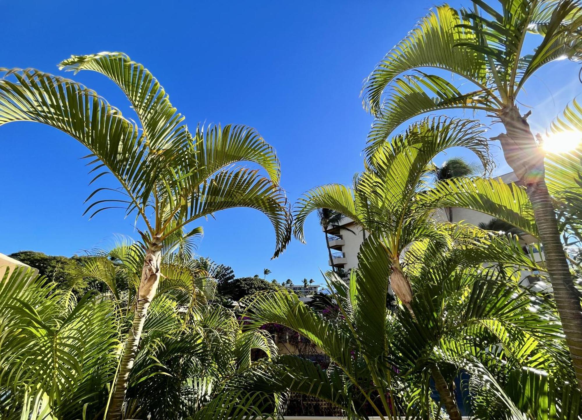 Maui Banyan Villa ไวเลอา ห้อง รูปภาพ