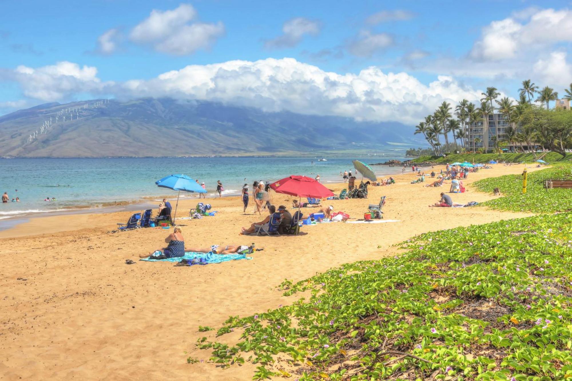 Maui Banyan Villa ไวเลอา ห้อง รูปภาพ