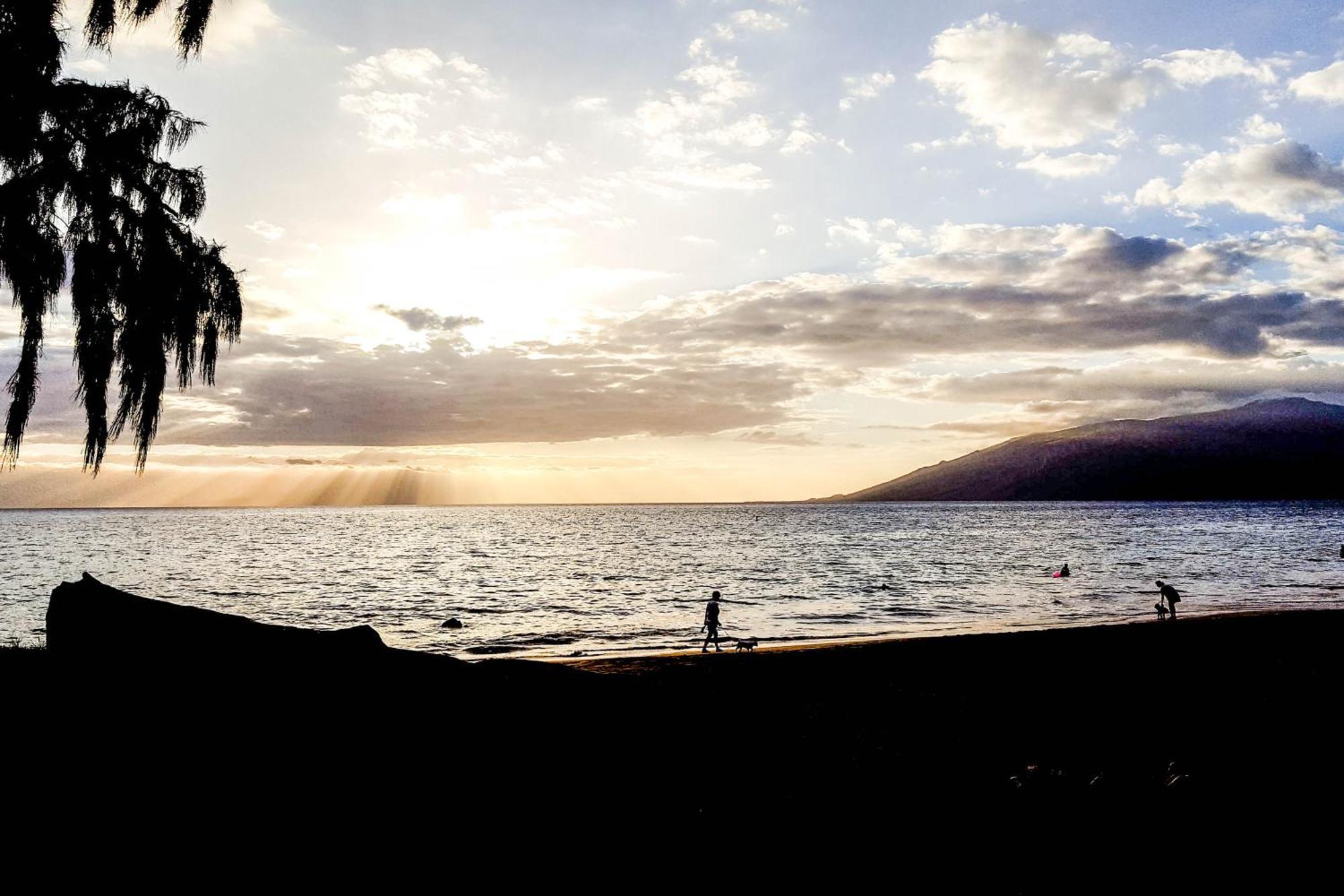 Maui Banyan Villa ไวเลอา ห้อง รูปภาพ